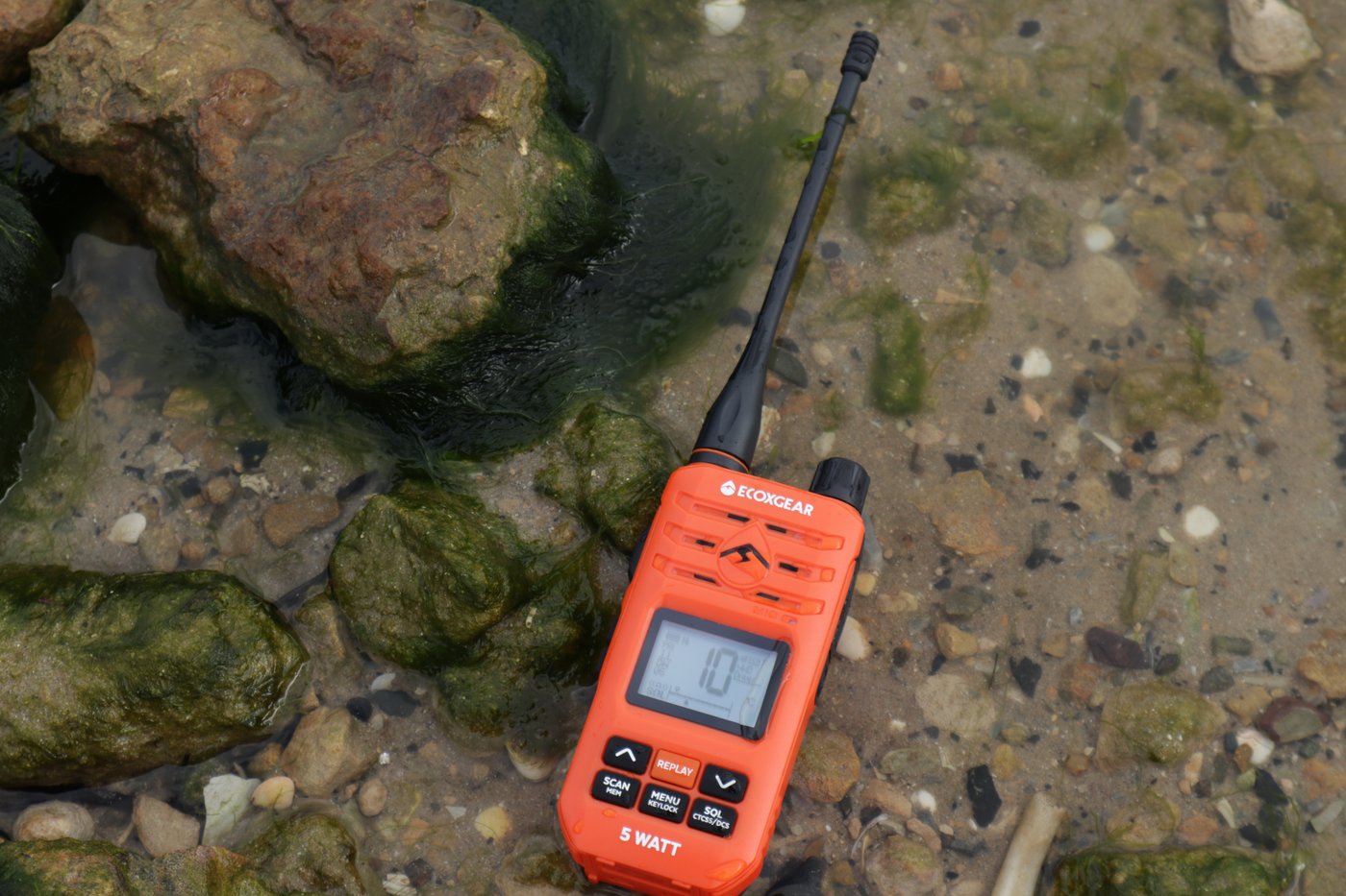 Radio resting on wet rocks at the water's edge
