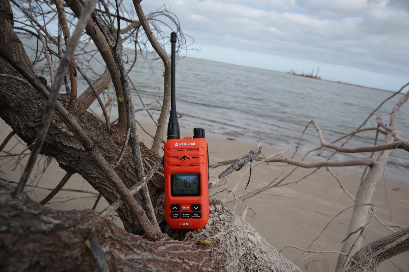 EXG510S wedged into windswept coastal branches with ocean horizon behind